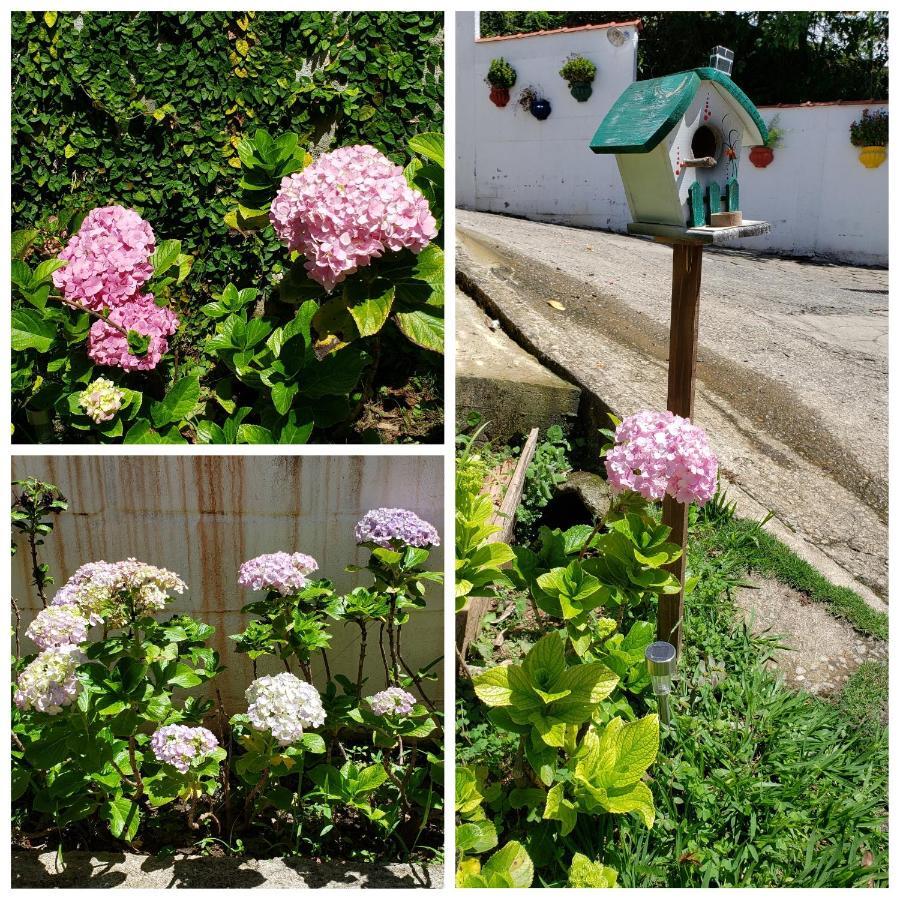Pousada Das Hortensias Conservatória エクステリア 写真